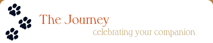 The Journey - Celebrating Your Companion - Crystal Kent